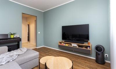 Kipsplaadi varvimine