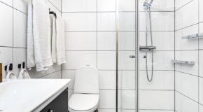 Teenused 2 vaike-vannituba-1